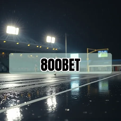 800bet: Ofertas Especiais Que Transformam Suas Apostas em Vantagens