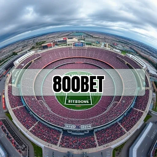 800bet: Os Melhores Jogos de Cartas para Apostar e Ganhar