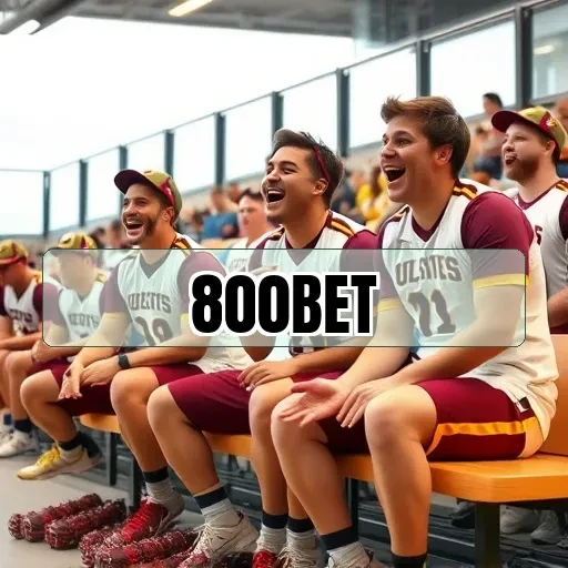 800bet: A Revolução do Cassino ao Vivo Chegou para Ficar!